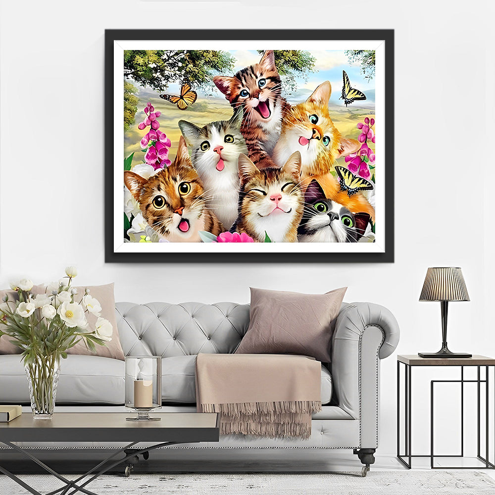 Schattige Blije Katten Diamond Painting