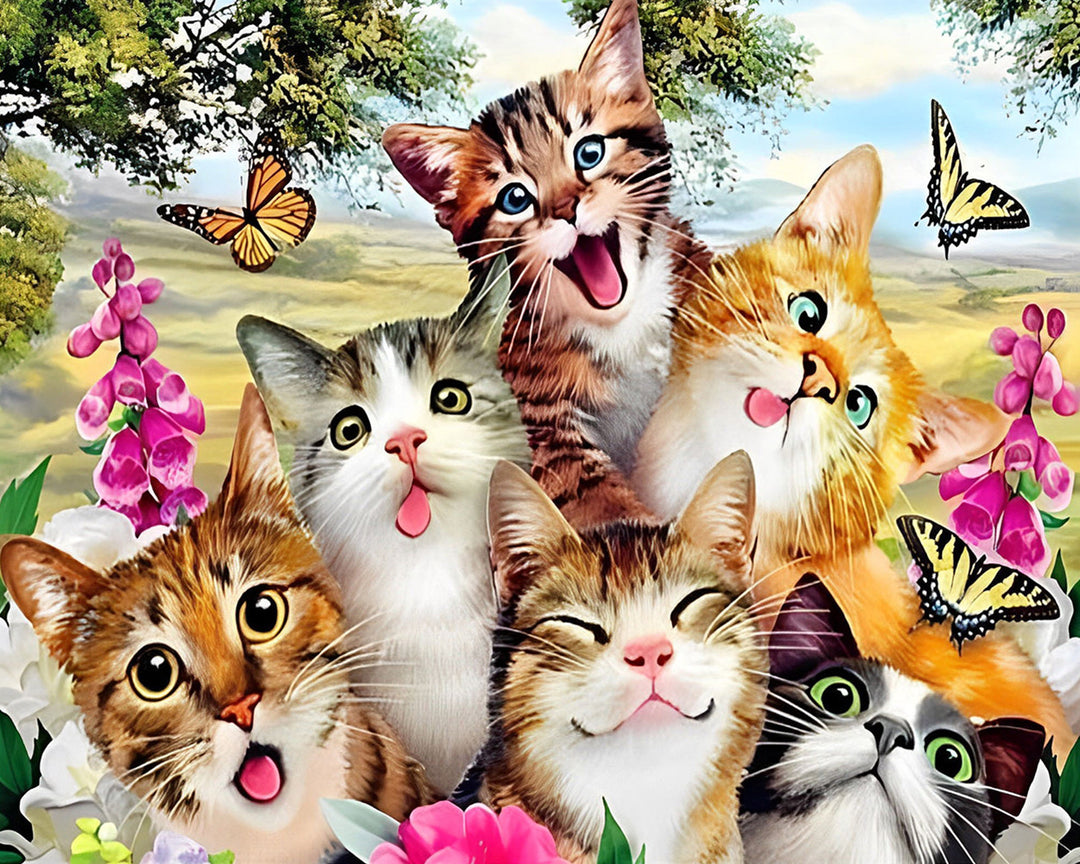 Schattige Blije Katten Diamond Painting
