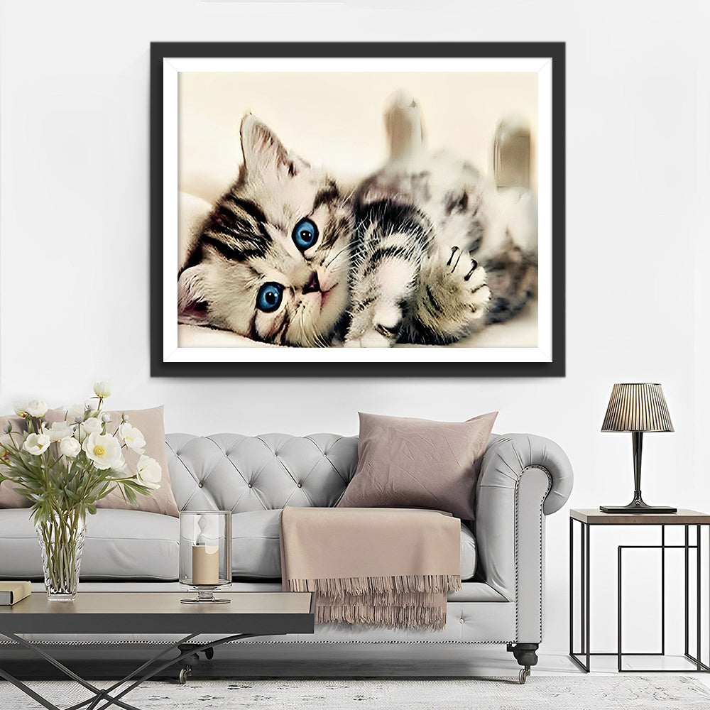 Schattige Kat met Blauwe Ogen Diamond Painting