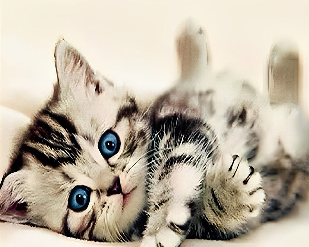 Schattige Kat met Blauwe Ogen Diamond Painting