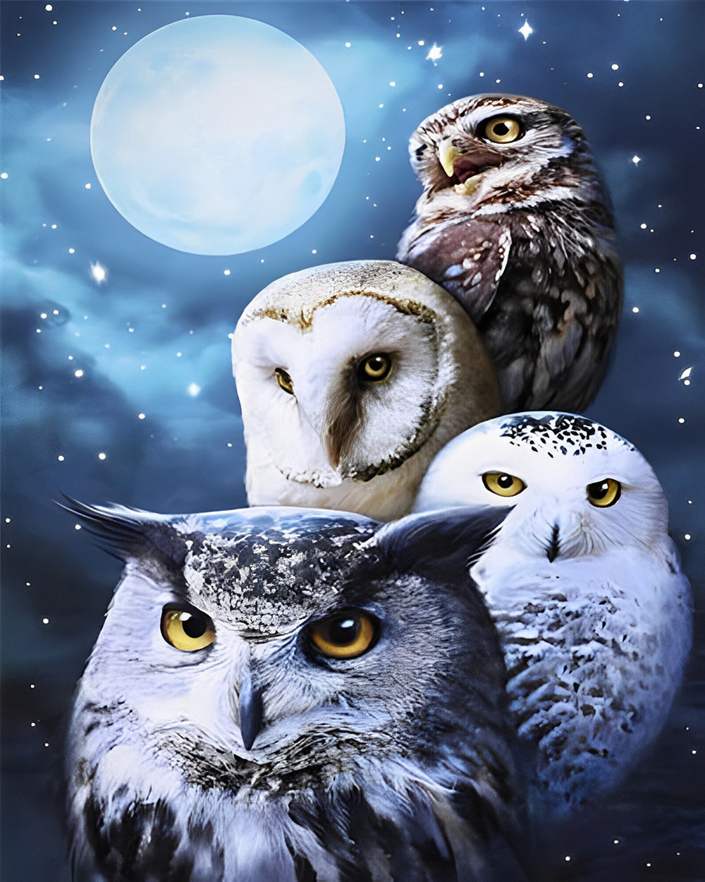 Uilenfamilie en Volle Maan Diamond Painting