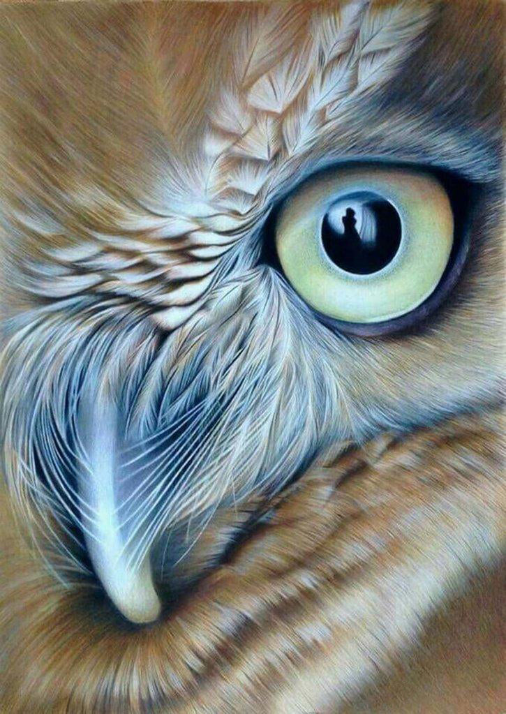 Uilenhalfgezicht Diamond Painting