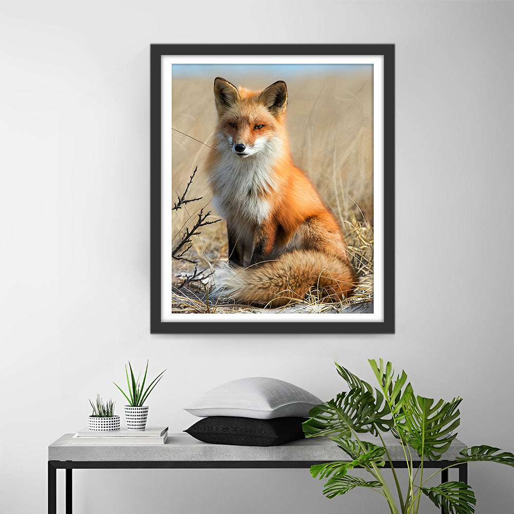 Vos op de Herfst Grasland Diamond Painting