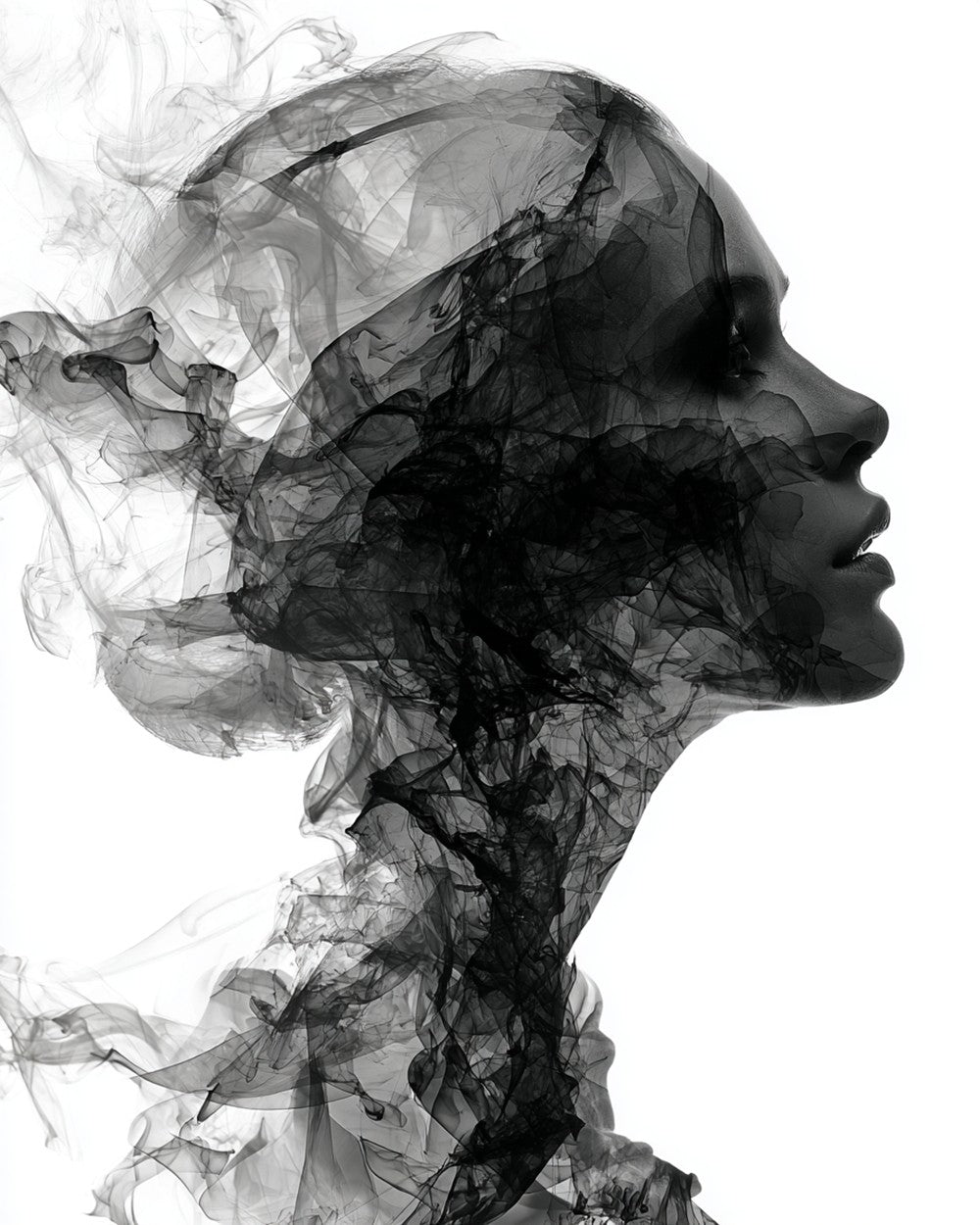 Vrouw die Verandert in Rook Diamond Painting