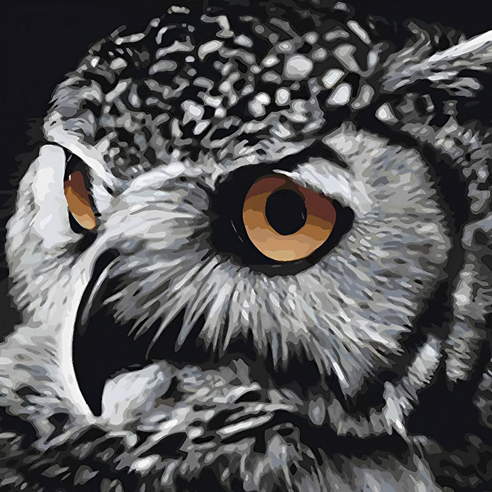 Waakzame Uil Diamond Painting