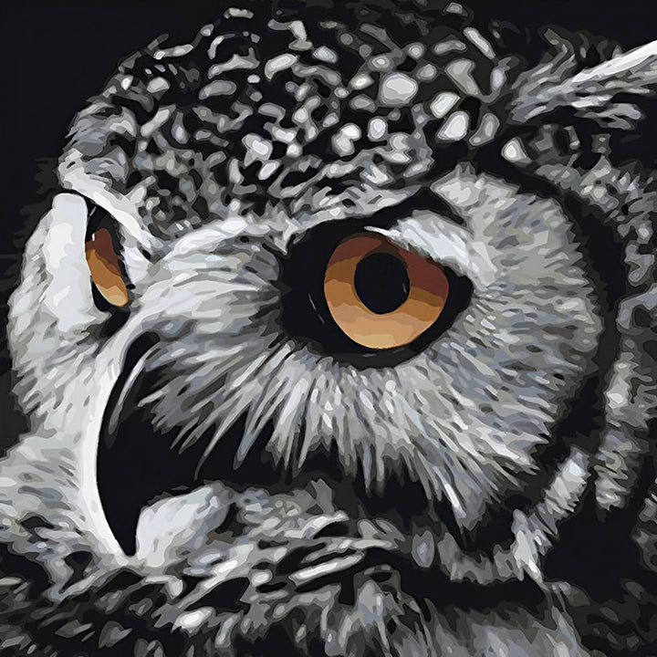 Waakzame Uil Diamond Painting