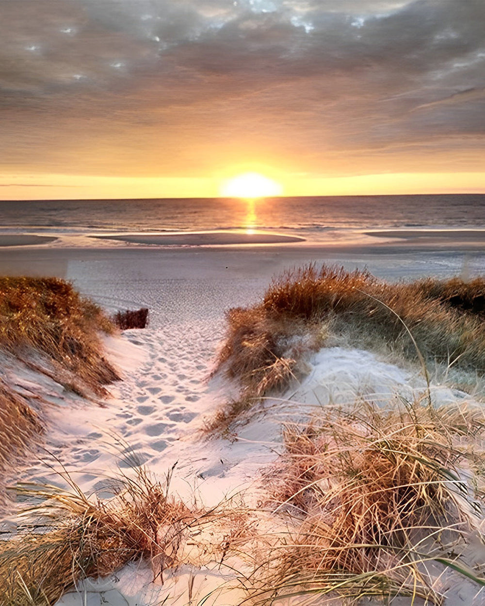 Wild Gras op het Strand Diamond Painting