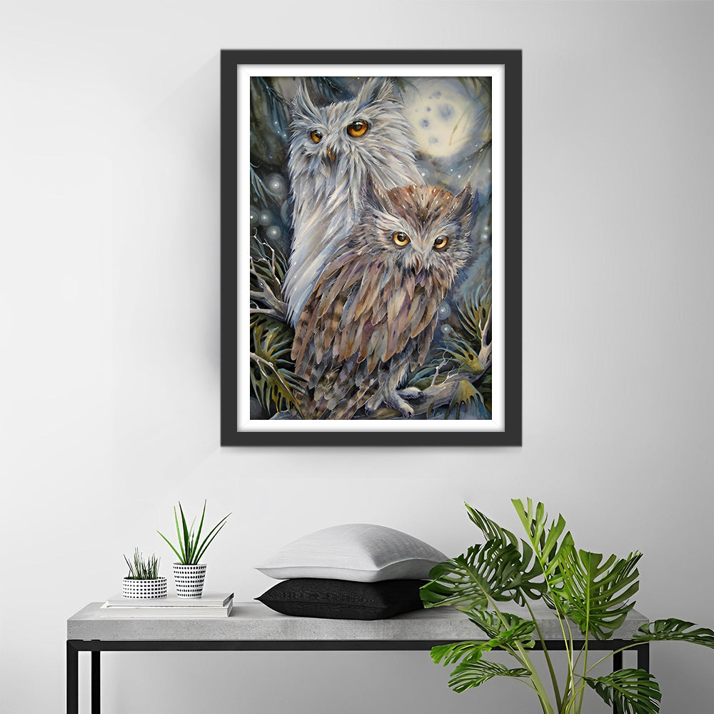 Witte en Bruine Uilen Diamond Painting