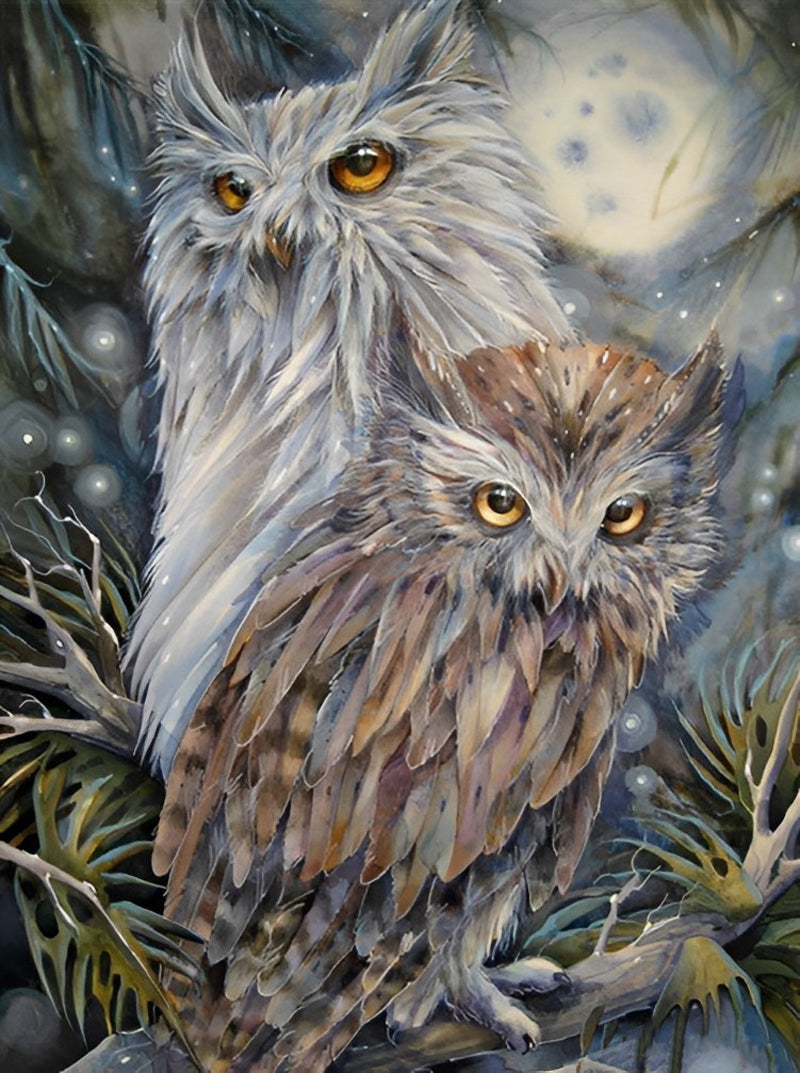 Witte en Bruine Uilen Diamond Painting