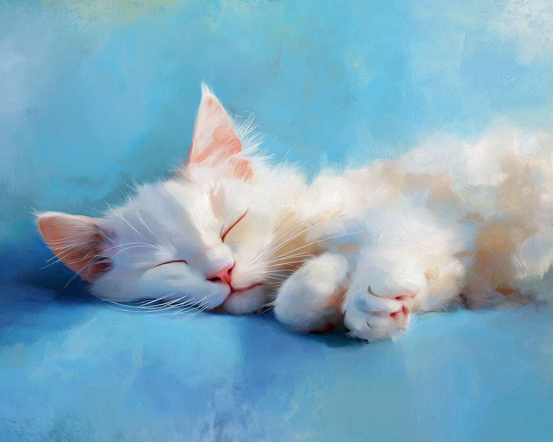 Witte Kat die Slaapt Diamond Painting