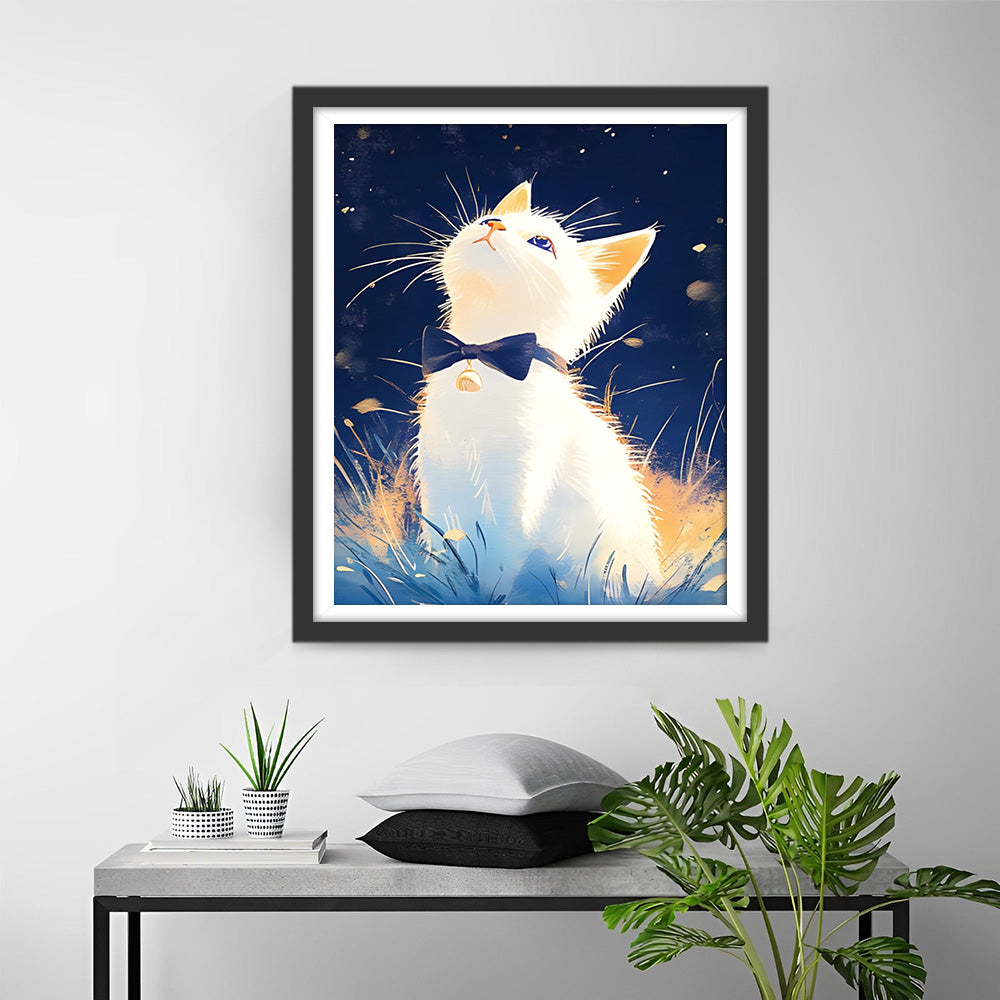 Witte Kat Kijkt omhoog naar de Nachtelijke Hemel Diamond Painting