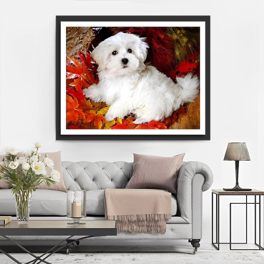 Witte Maltezer tussen Rode Esdoornbladeren Diamond Painting