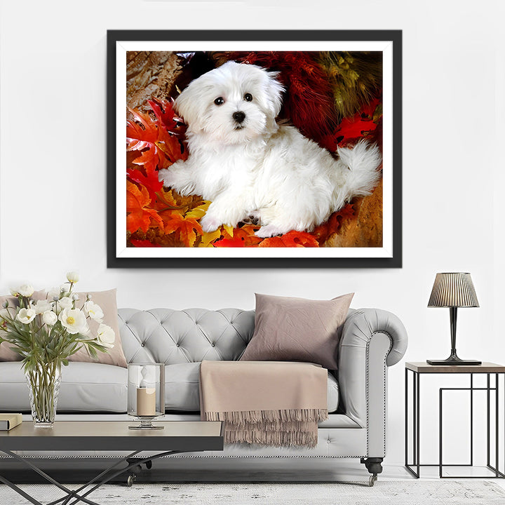 Witte Maltezer tussen Rode Esdoornbladeren Diamond Painting