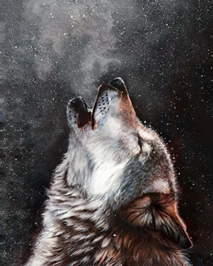 Wolf met Opgetild Hoofd Diamond Painting