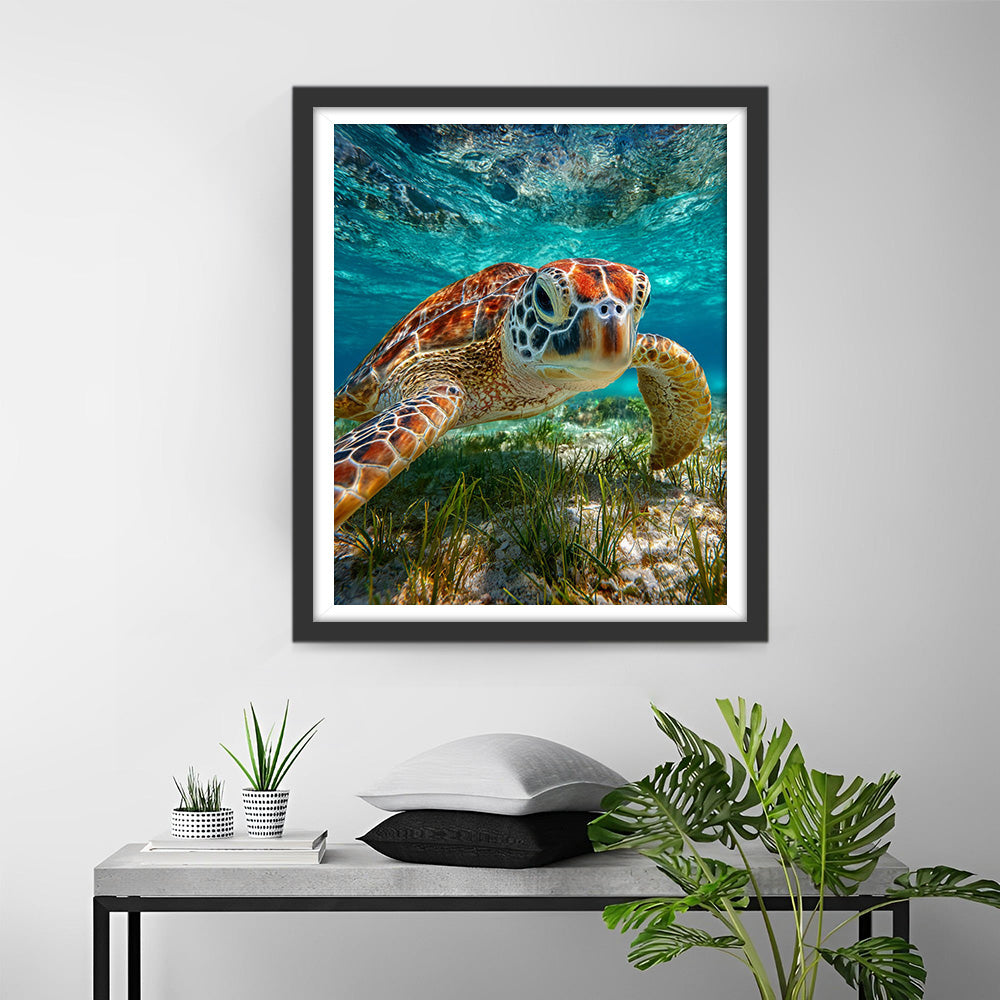 Zeeschildpad op de Zeebodem Diamond Painting