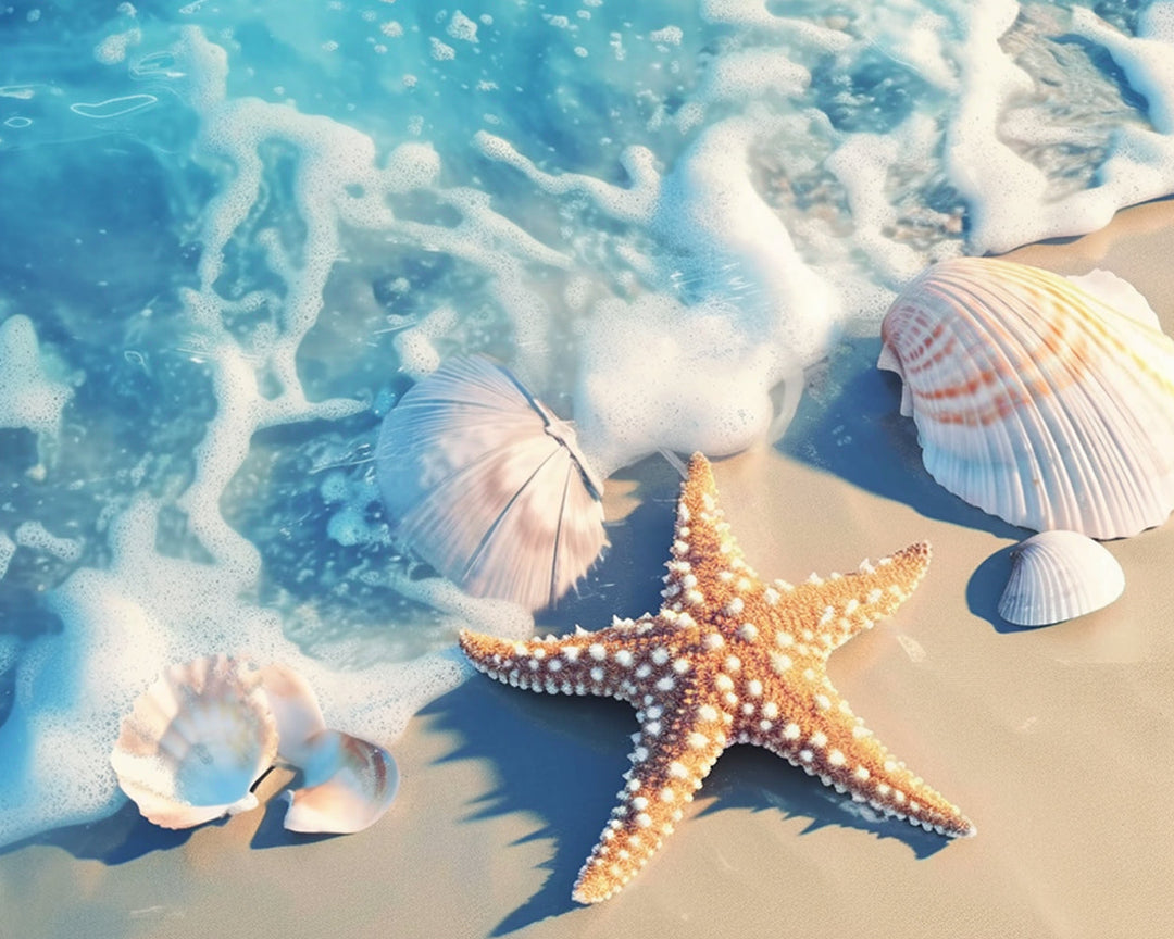 Zeester en Schelpen op het Strand Diamond Painting