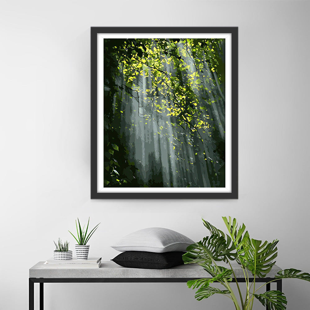 Zonnestralen Door het Groene Bos Diamond Painting