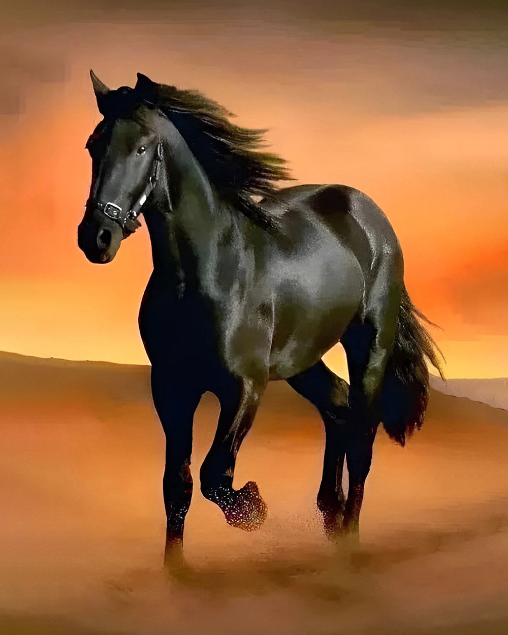 Zwart Paard Rennend in de Woestijn Diamond Painting