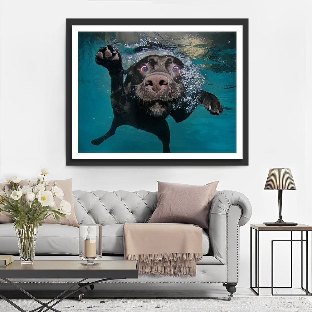 Zwarte Hond in Water Diamond Painting