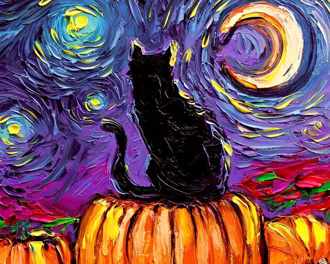 Zwarte Kat en de Sterrenhemel Diamond Painting
