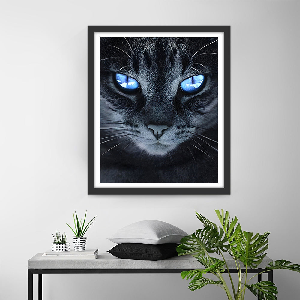 Zwarte Kat met Blauwe Ogen Diamond Painting