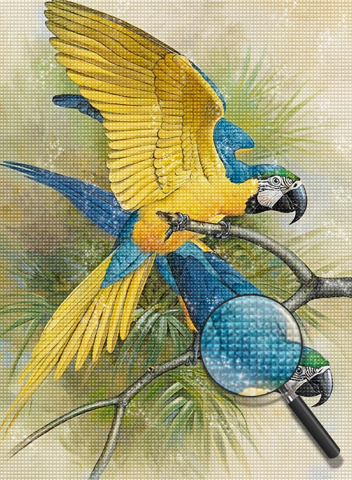 Vogel Diamond Painting DPBIRH189