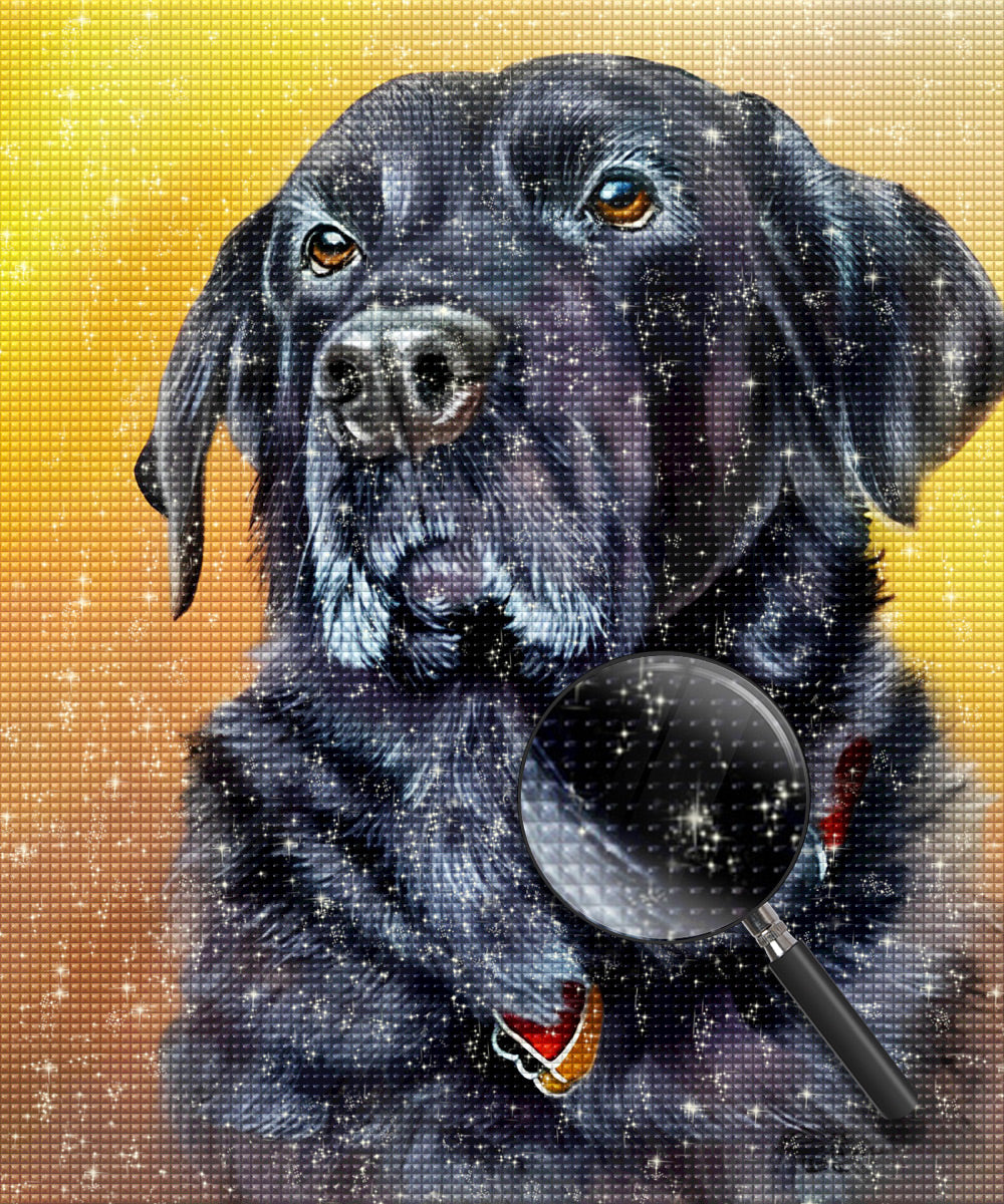 Hond Diamond Painting DPDOGH14