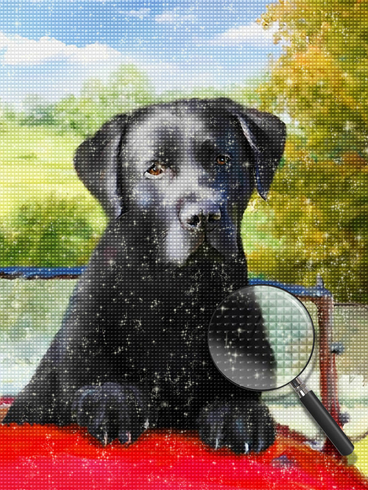 Hond Diamond Painting DPDOGH166