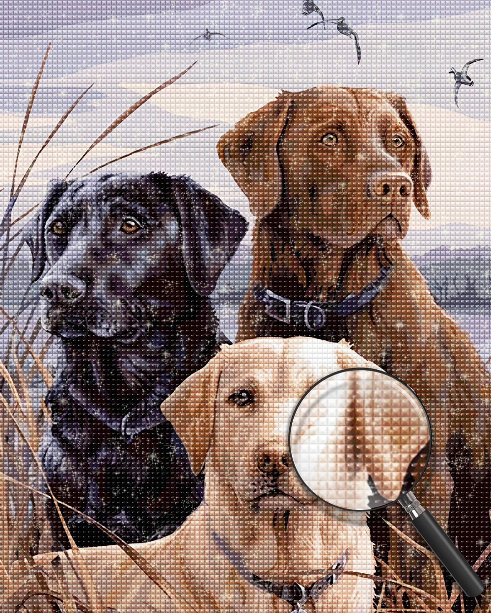 Hond Diamond Painting DPDOGH176