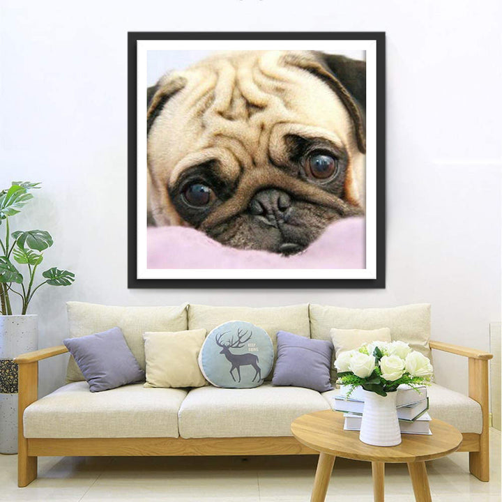 Hond Diamond Painting DPDOGSQR10