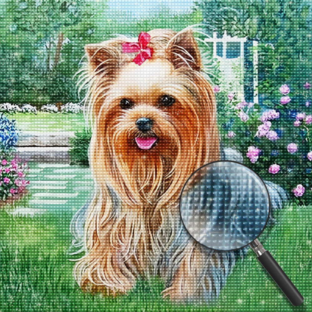 Hond Diamond Painting DPDOGSQR112