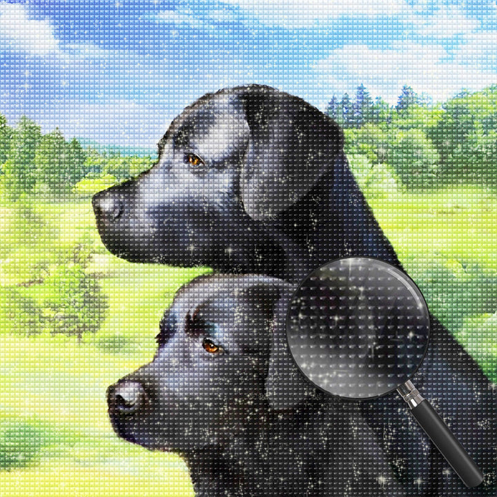 Hond Diamond Painting DPDOGSQR115