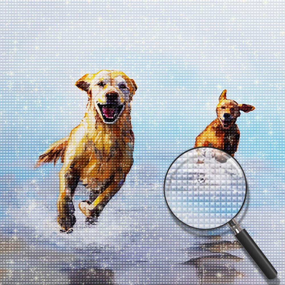 Hond Diamond Painting DPDOGSQR119