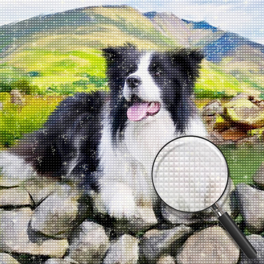 Hond Diamond Painting DPDOGSQR124