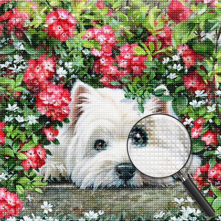 Hond Diamond Painting DPDOGSQR125