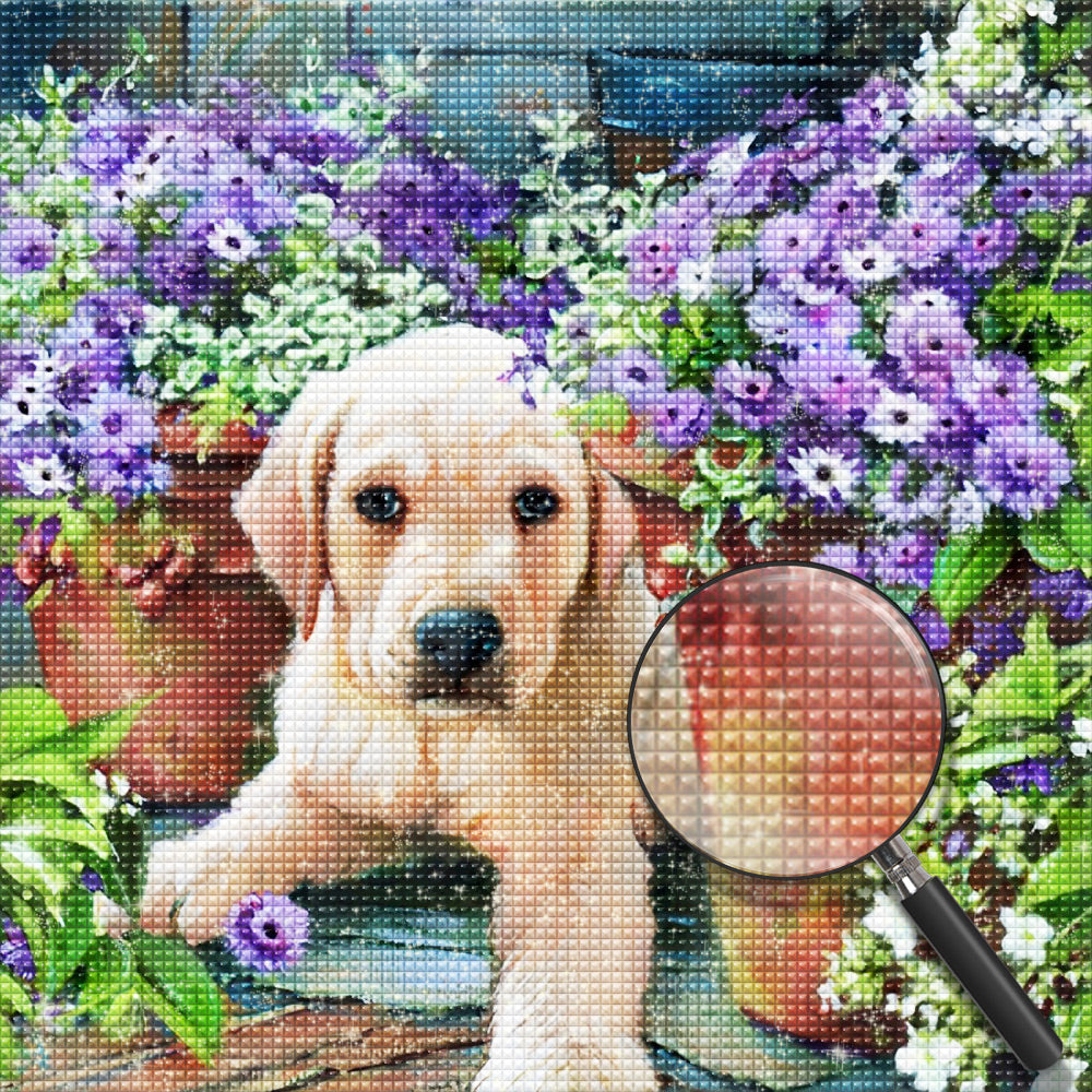 Hond Diamond Painting DPDOGSQR127