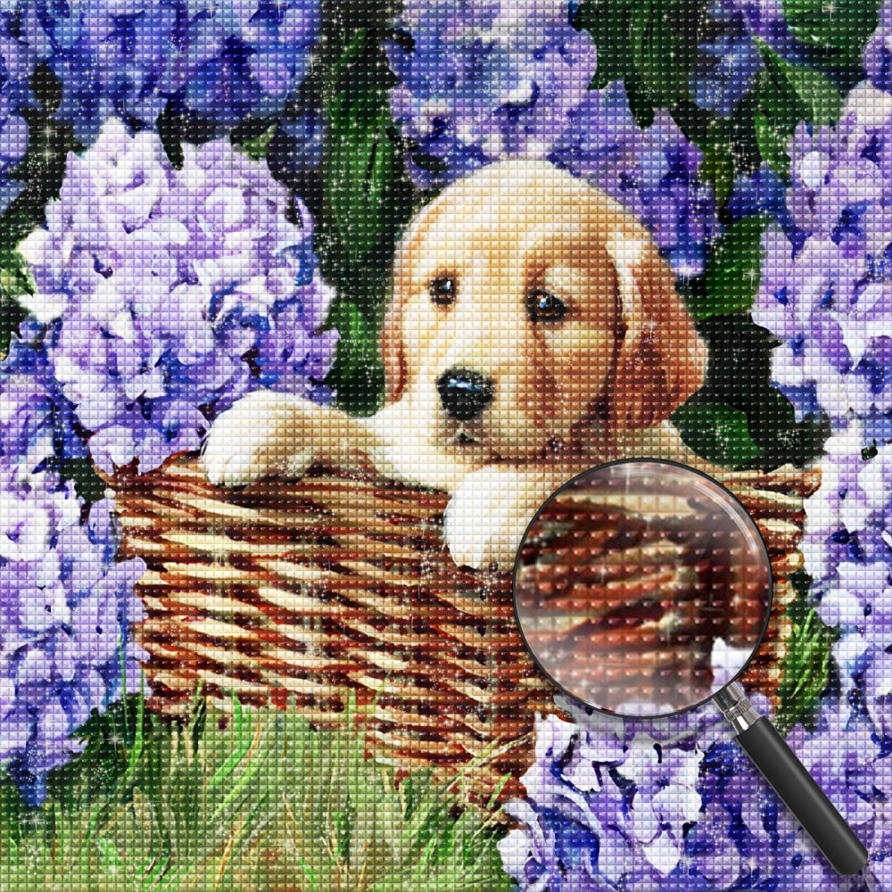 Hond Diamond Painting DPDOGSQR128