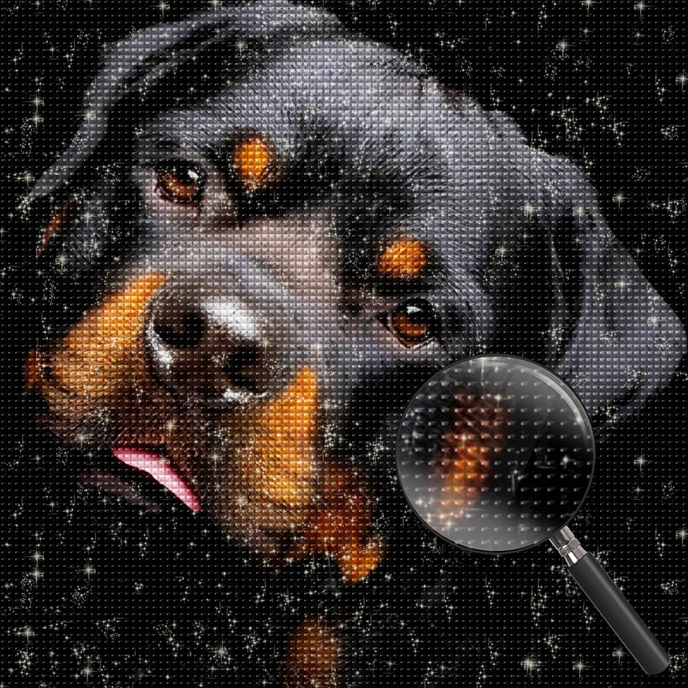 Hond Diamond Painting DPDOGSQR130