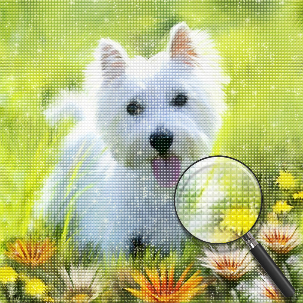 Hond Diamond Painting DPDOGSQR136