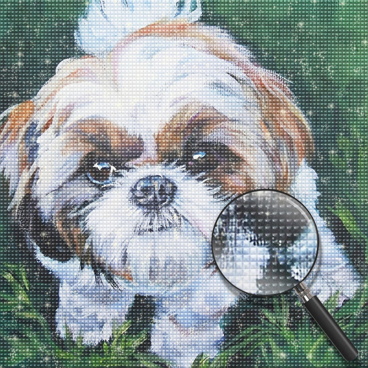 Hond Diamond Painting DPDOGSQR14