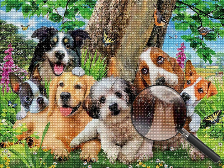 Hond Diamond Painting DPDOGW113