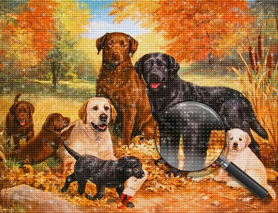 Hond Diamond Painting DPDOGW123