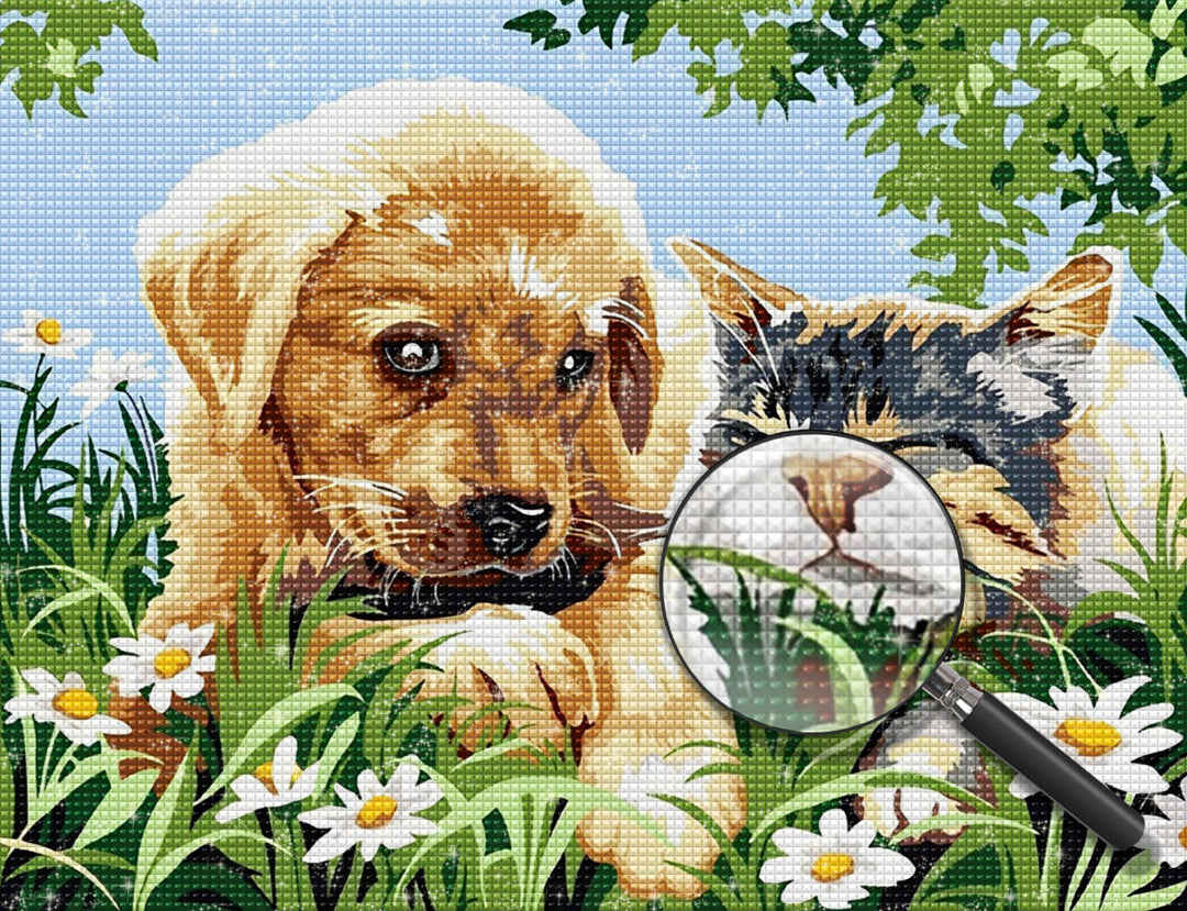 Hond Diamond Painting DPDOGW137