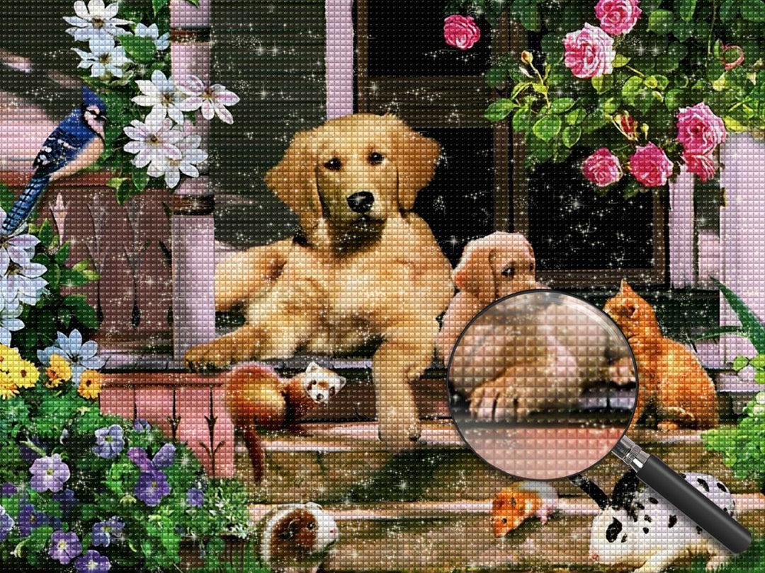 Hond Diamond Painting DPDOGW156