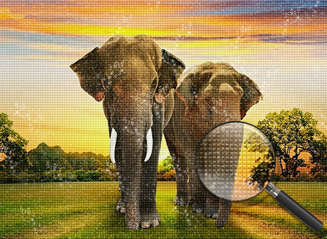 Olifant Diamond Painting DPELEW117