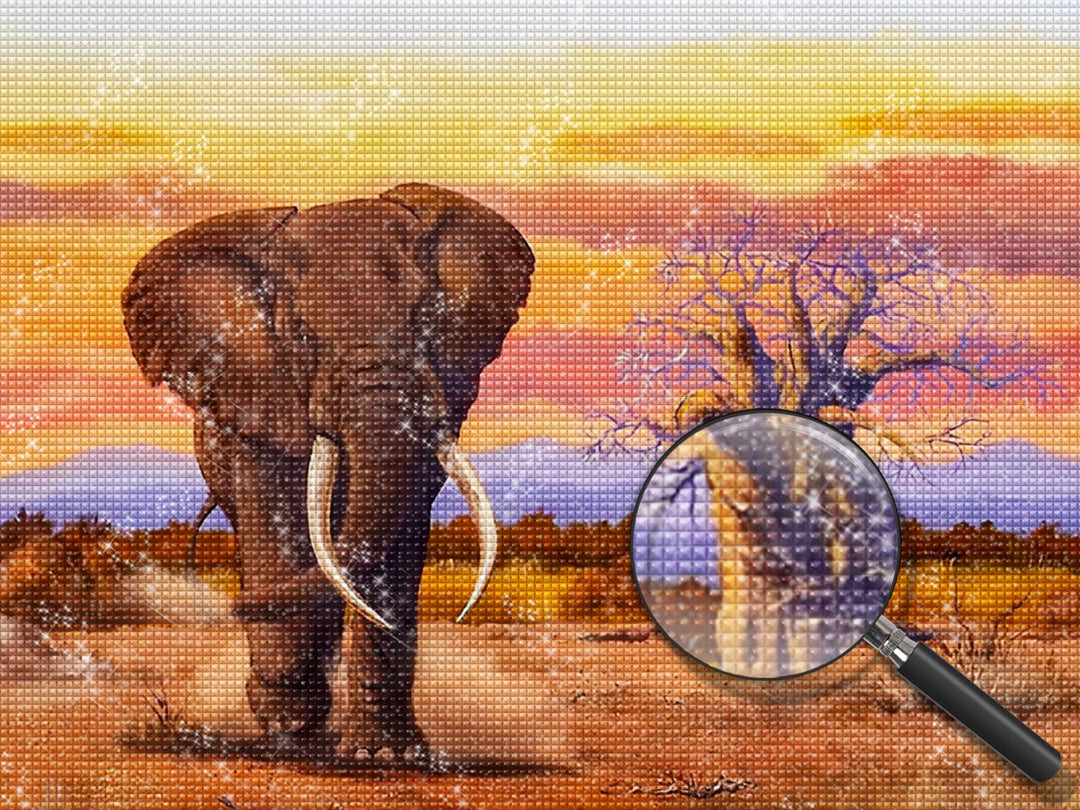 Olifant Diamond Painting DPELEW14