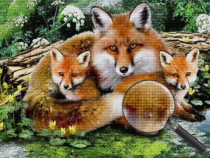 Vos Diamond Painting DPFOXW13