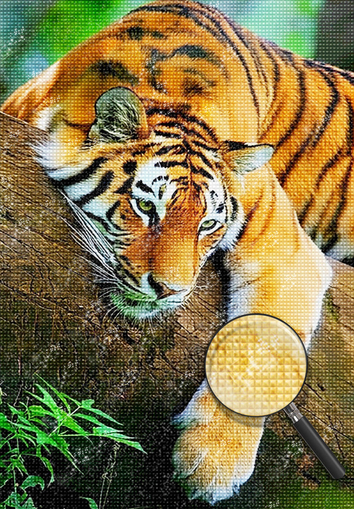 Tijger Diamond Painting DPTIGH110