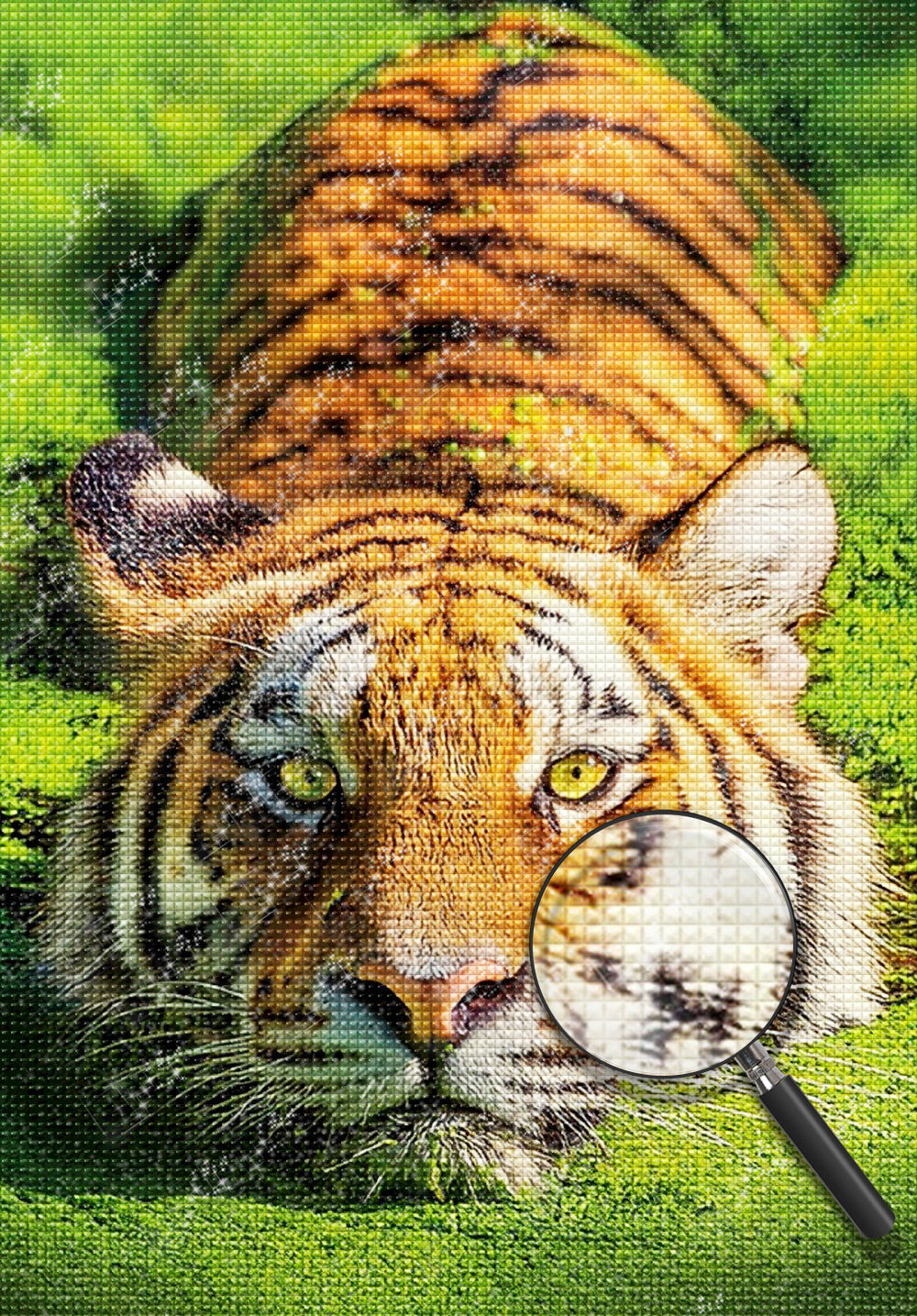 Tijger Diamond Painting DPTIGH147