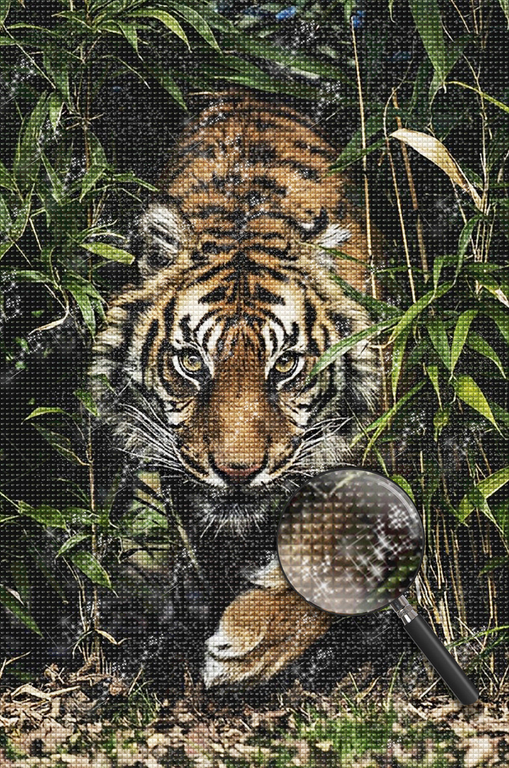 Tijger Diamond Painting DPTIGH156